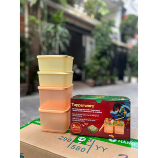Combo 4 hộp trữ khô, trữ mát Tupperware (2 hộp 1L và 2 hộp 650ml)
