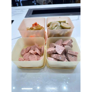Combo 4 hộp trữ khô, trữ mát Tupperware (2 hộp 1L và 2 hộp 650ml)