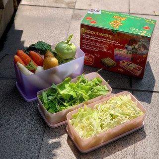 Combo 3 hộp ngăn khô, mát tủ lạnh Tupperware ( 3.1L và 2 hộp 1.4L)