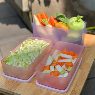 Combo 3 hộp ngăn khô, mát tủ lạnh Tupperware ( 3.1L và 2 hộp 1.4L)
