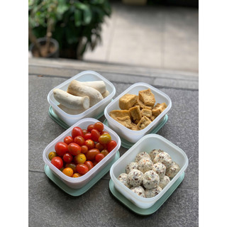 Hộp trữ đông dẻo 450ml Tupperware, nhựa nguyên sinh an toàn