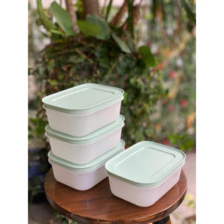 Hộp trữ đông dẻo 450ml Tupperware, nhựa nguyên sinh an toàn