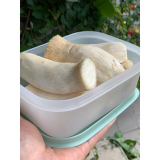 Hộp trữ đông dẻo 450ml Tupperware, nhựa nguyên sinh an toàn