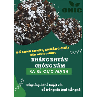 Giá thể cao cấp trồng kiểng lá ONIC (~8-10L)