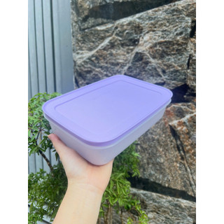 Hộp trữ đông dẻo 1L tupperware, nhựa nguyên sinh an toàn cho sức khoẻ