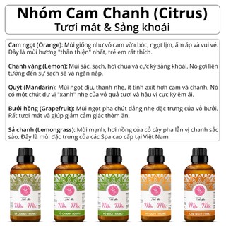 (Chai 100ml) Tinh dầu xông thơm phòng nguyên chất từ thiên nhiên, ngủ ngon, đuổi muỗi, côn trùng