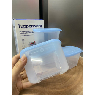 Hộp trữ đông Mini Tupperware 300ml (nắp màu ngẫu nhiên), bảo quản thực phẩm, thức ăn dặm,…