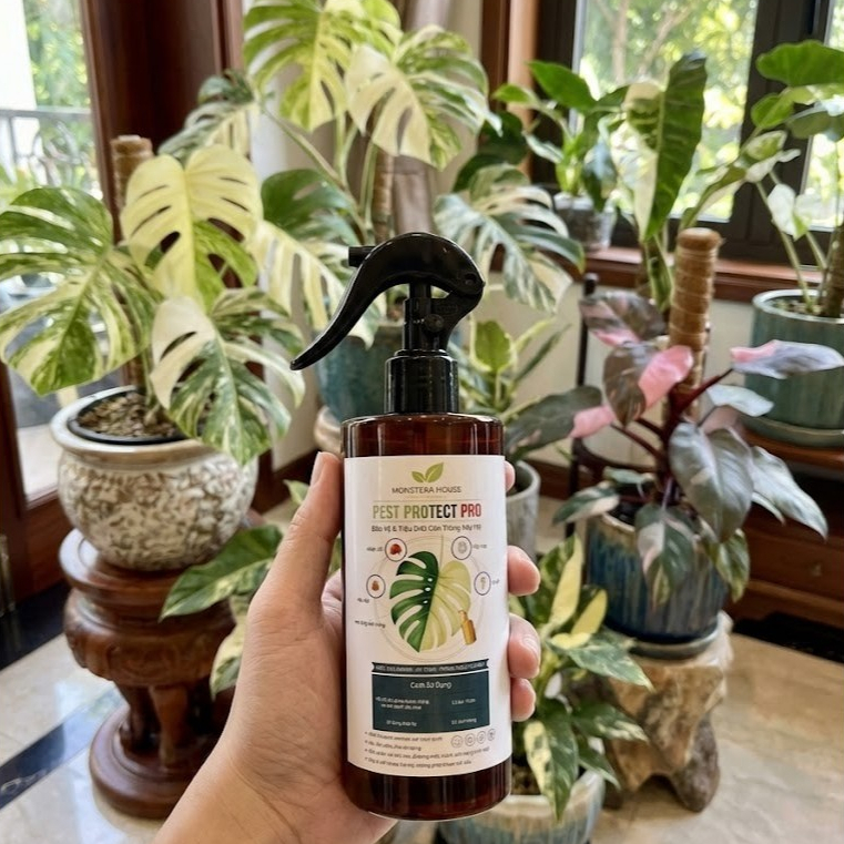Chai Xịt Trị Rệp, Nhện Đỏ, Bảo Vệ Cây Trồng ... Pest Protect Pro 100% Organic