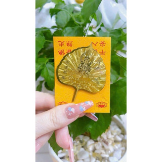 🌿 Lá Bồ Đề Mạ Vàng Cao Cấp M.a.y M.ắ.n, B.ì.n.h A.n, Ch.iêu T.ài L.ộ.c 🌿