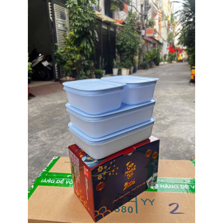 Bộ hộp trữ đông dẻo tupperware, 2 hộp 1L và 2 hộp 450ml