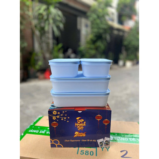 Bộ hộp trữ đông dẻo tupperware, 2 hộp 1L và 2 hộp 450ml