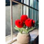 Chậu tulip bằng len chậu để bàn decor trang trí