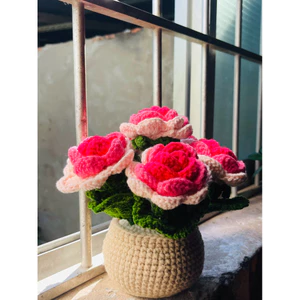 Chậu hoa hồng len để bàn- Chậu hoa hồng hanmade decor