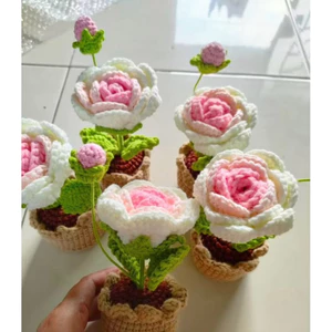 Chậu hồng mini (1 bông 1 nụ)