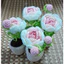 Chậu hồng mini (1 bông 1 nụ)