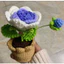 Chậu hồng mini (1 bông 1 nụ)