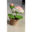 Chậu hồng mini (1 bông 1 nụ)