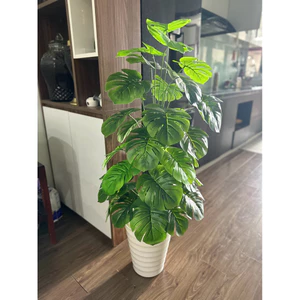 cây giả - cây monstera cao 1m2