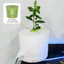 Bộ hộp lọc nước nhựa lắp ráp xếp chồng 3 tầng treo góc bể hồ cá nước chảy không ồn