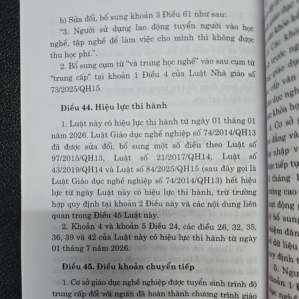 Sách - Luật giáo dục nghề nghiệp ( NXB Chính trị quốc gia Sự thật )