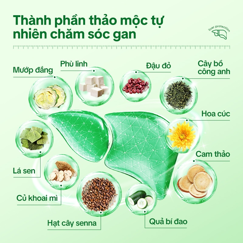 Tong Ren Tang Trà Thảo | Mộc Bổ Gan – Thanh Nhiệt, Giải Độc Gan, Mát Gan, Uống Hàng Ngày