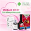 Siro điều kinh, giảm đau bụng kinh Bình Đông Cao ích mẫu (Chai 280ml)