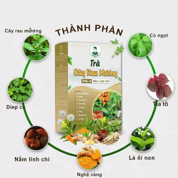 Trà Cây Rau Mương Diếp Cá Nấm Linh Chi nước trà tốt cho dạ dày(30 gói /1h)