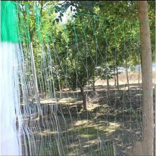Lưới hỗ trợ trồng cây leo loại dày tện lợi, lưới giàn leo sân vườn