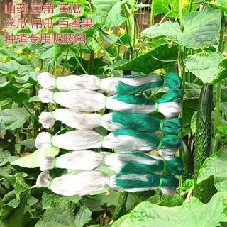 Lưới hỗ trợ trồng cây leo loại dày tện lợi, lưới giàn leo sân vườn