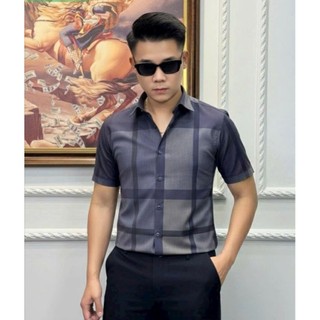 Áo sơ mi nam luxury cao cấp kẻ cộc tay mã K960