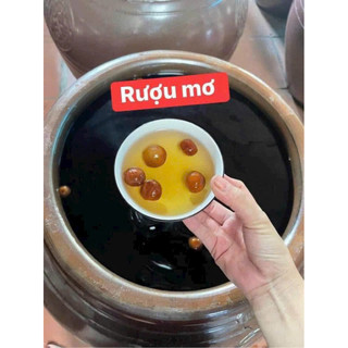 R ượu Mơ Rừng Uống là mê uống rất phê 30 Vol