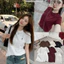 Áo thun babytee nữ thêu hình ngựa hàng QC 3810