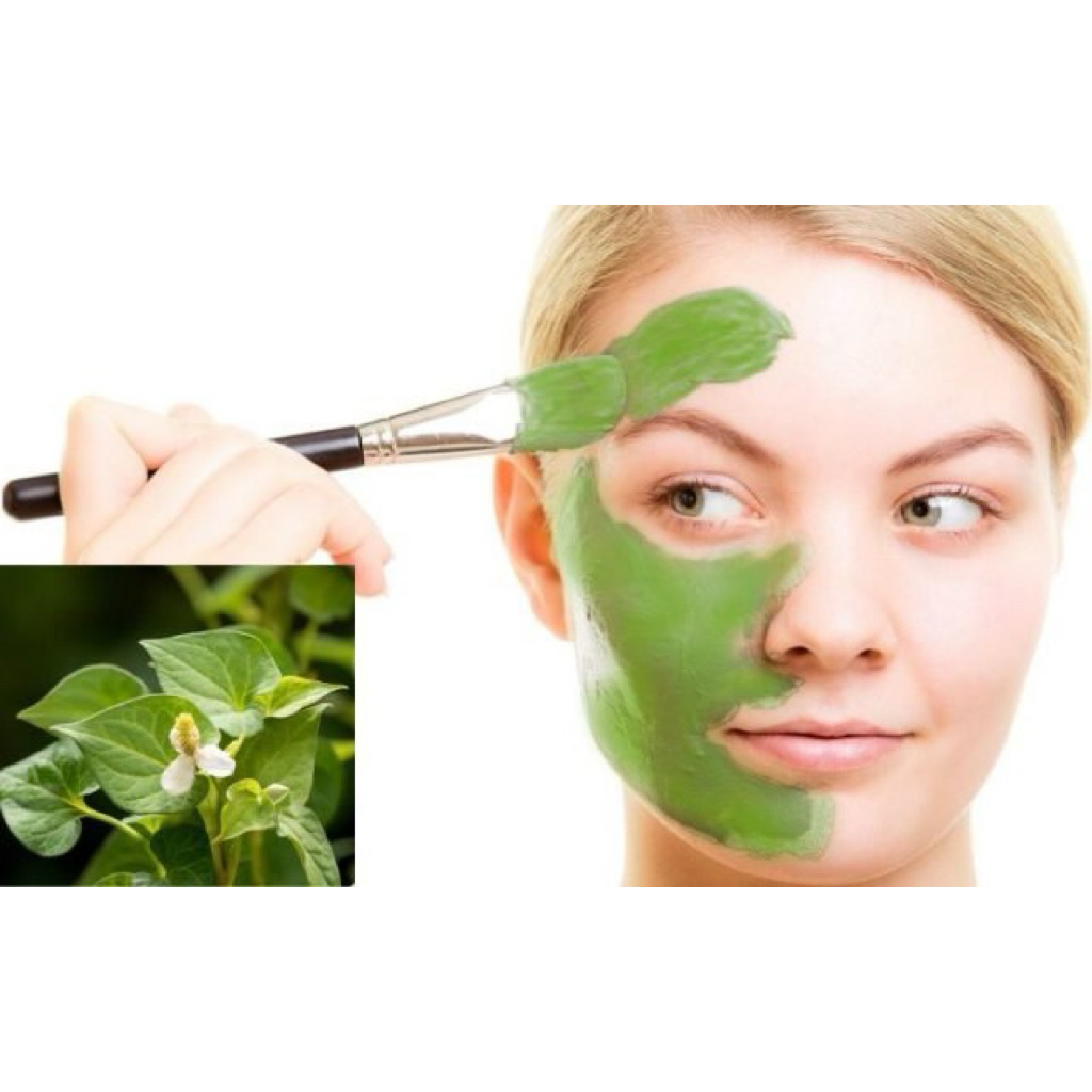 Túi 100 gram bột Diếp Cá làm sáng mịn da