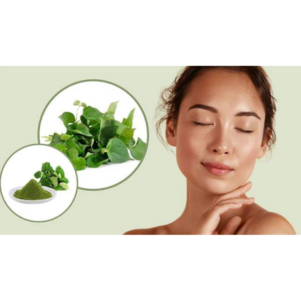 Túi 100 gram bột Diếp Cá làm sáng mịn da