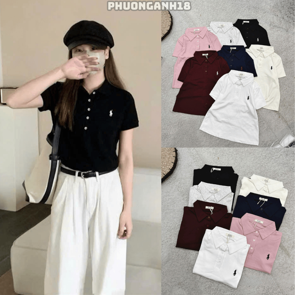 [Hàng mới] Áo polo thêu ngựa nhiều màu hàng QC 6211