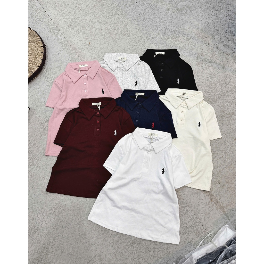 [Hàng mới] Áo polo thêu ngựa nhiều màu hàng QC 6211