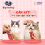 Súp Thưởng Silver Spoon Dạng Thanh Cho Mèo 56gram Gồm 6 Vị Thơm Ngon