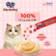 Súp Thưởng Silver Spoon Dạng Thanh Cho Mèo 56gram Gồm 6 Vị Thơm Ngon