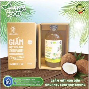 Giấm mật hoa dừa hữu cơ Sokfarm 265ml/500ml thay thế giấm táo vị chua hậu ngọt , có chứa giấm cái , giấm detox giảm cân