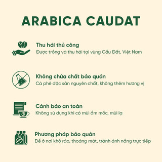 Cà Phê Arabica Cầu Đất Nguyên Chất Rang Mộc ZILI COFFEE - VỊ NGỌT XEN LẪN VỊ CHUA NHẸ  [Túi 500g]