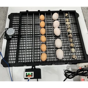 Khay đảo trứng tự động loại mới đảo lăn 180 độ . 54 trứng gà -Máy Ấp Trứng Đất Quảng