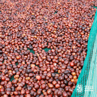 Cà phê nguyên chất Blend Culi rang mộc đậm đà hậu ngọt pha phin hoặc pha máy ngon Zili Coffee