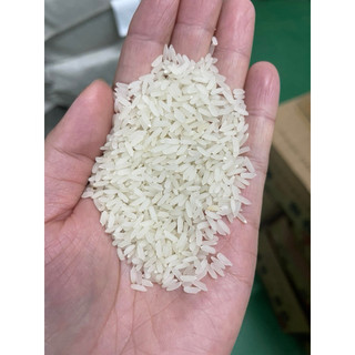 [Hoả Tốc] GẠO TÁM THƠM HẢI HẬU ( GẠO QUÊ CHUẨN , DẺO VỪA , ĐẬM VỊ )