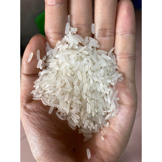 [HOẢ TỐC] GẠO BẮC HƯƠNG (GẠO QUÊ VỤ MỚI , THƠM ,DẺO VỪA , ĐẬM VỊ)