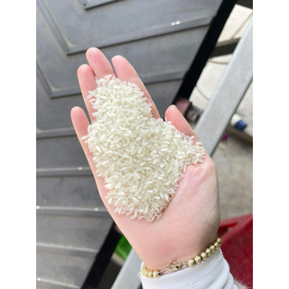 [HOẢ TỐC] GẠO BẮC HƯƠNG (GẠO QUÊ VỤ MỚI , THƠM ,DẺO VỪA , ĐẬM VỊ)