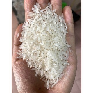 [HOẢ TỐC] GẠO BẮC HƯƠNG (GẠO QUÊ VỤ MỚI , THƠM ,DẺO VỪA , ĐẬM VỊ)