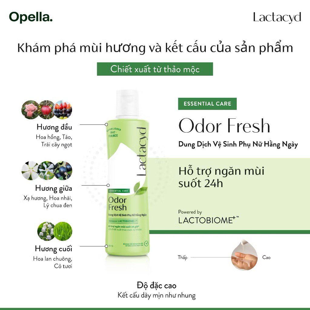 Dung Dịch Vệ Sinh Phụ nữ Lactacyd Odor Fresh Ngăn Mùi 24H 250ml shishop94