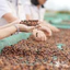 Cà Phê Nguyên Chất Cao Cấp Blend Red Robusta Culi rang mộc đậm đà - Zili Coffee [Túi 500g]