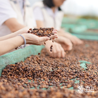 [CÀ PHÊ ĐẬM] Cà Phê Nguyên Chất Cao Cấp Blend Red Robusta Culi rang mộc đậm đà - Zili Coffee [Túi 500g]