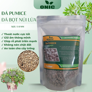 Đá Pumice (Đá Bọt Núi Lửa) 1 Lít